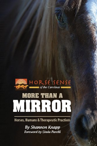 Stock image for More Than a Mirror: Horses, Humans & Therapeutic Practices for sale by Bookmans