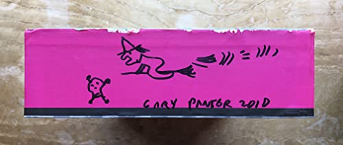 Beispielbild fr Gary Panter (PICTUREBOX) (First Edition) zum Verkauf von Dan Pope Books