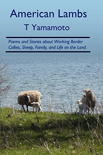 Beispielbild fr American Lambs: Poems and Stories about Working Border Collies, Sheep, Family, zum Verkauf von ThriftBooks-Dallas