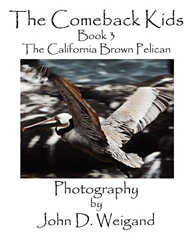 The Comeback Kids, Book 3, The California Brown Pelican - Penelope Dyan; Photographer-John D Weigand