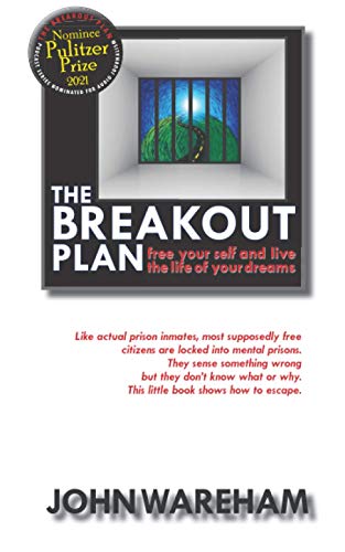 Beispielbild fr The Breakout Plan zum Verkauf von THE SAINT BOOKSTORE