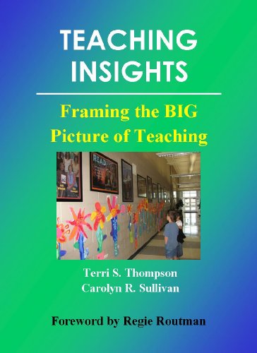 Stock image for Teaching Insights: Framing the BIG Picture of Teaching for sale by SecondSale