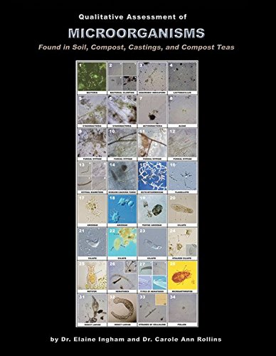 Microbe Manual (9780979756153) by Ingham, Elaine; Rollins, Carole Ann