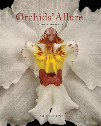 Stock image for Orchids' Allure : Intimate Portraits for sale by GreatBookPrices