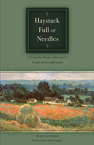 Stock image for Haystack Full of Needles, A Catholic Home Educator's Guide to Socialization for sale by Wonder Book