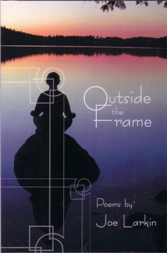 Imagen de archivo de Outside the Frame a la venta por Revaluation Books