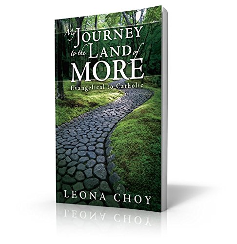 Stock image for My Journey to the Land of More for sale by Wonder Book