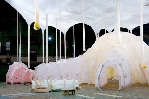 Ernesto Neto: Anthropodino (9780980024234) by Pedrosa, Adriano; Eccles, Tom