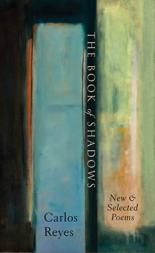 Beispielbild fr The Book of Shadows zum Verkauf von Wonder Book