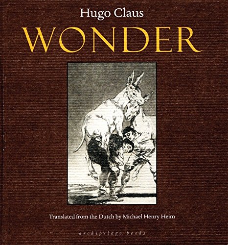 Stock image for Wonder for sale by Half Price Books Inc.
