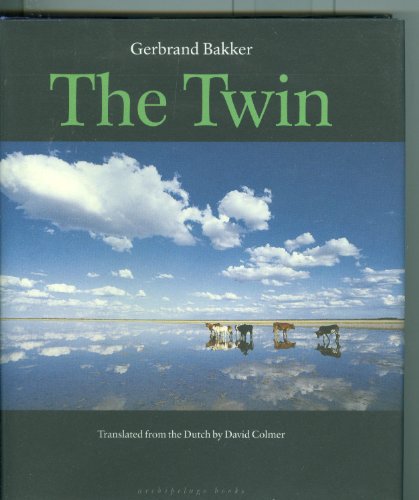 Stock image for The Twin for sale by Wonder Book