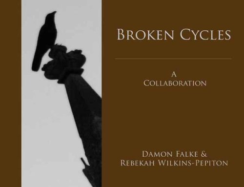 9780980084108: Broken Cycles