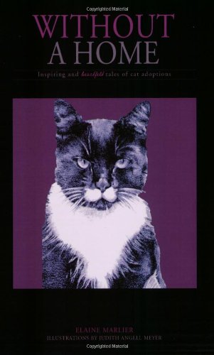 Stock image for Without A Home - Inspiring and Heartfelt Tales of Cat Adoptions for sale by Ergodebooks