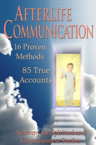 9780980211177: Afterlife Communication