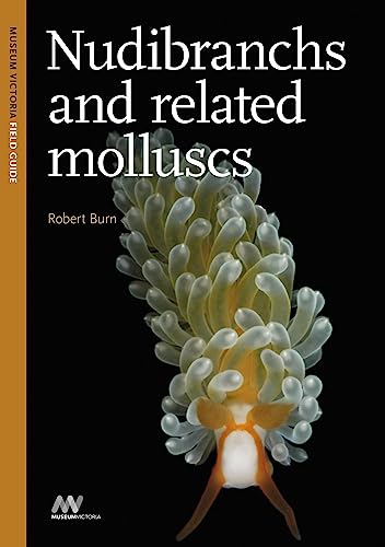 

Nudibranchs and Related Molluscs (Paperback)