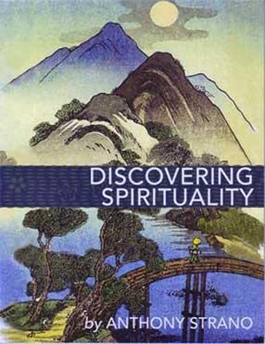 Stock image for Discovering Spirituality for sale by medimops