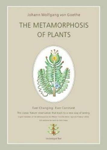 9780980594805: Metamorphosis of Plants