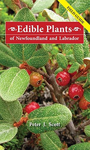 Imagen de archivo de Edible Plants of Newfoundland and Labrador: Field Guide a la venta por ThriftBooks-Atlanta