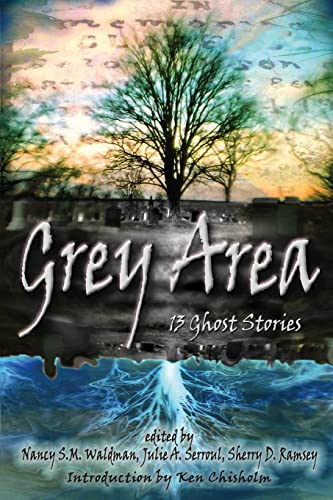 Imagen de archivo de Grey Area: 13 Ghost Stories a la venta por THE SAINT BOOKSTORE