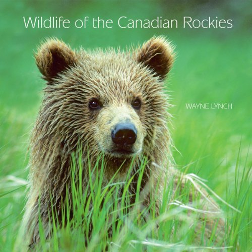 Beispielbild fr Wildlife of the Canadian Rockies zum Verkauf von Books From California