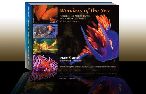 Stock image for Wonders of the Sea Volume Two: Marine Jewels of Southern California's Coast and Islands (Wonders of the Sea, Volume 2) for sale by Bookmans