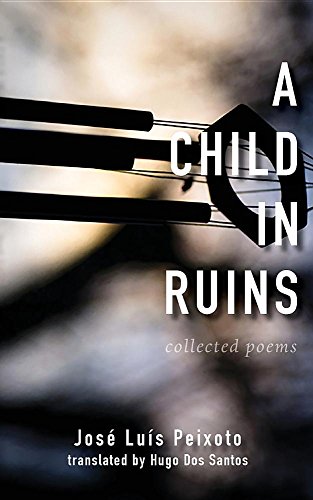 9780981483696: A Child in Ruins