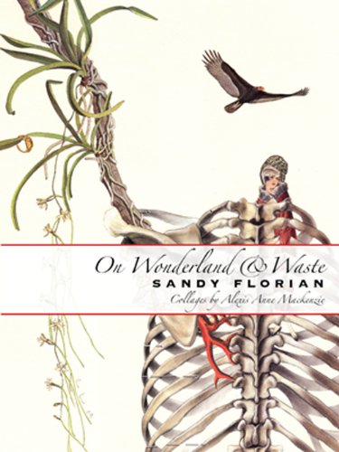 Stock image for On Wonderland & Waste for sale by -OnTimeBooks-