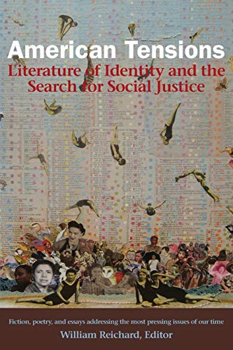 Stock image for American Tensions: Literature of Identity and the Search for Social Justice for sale by HPB-Emerald