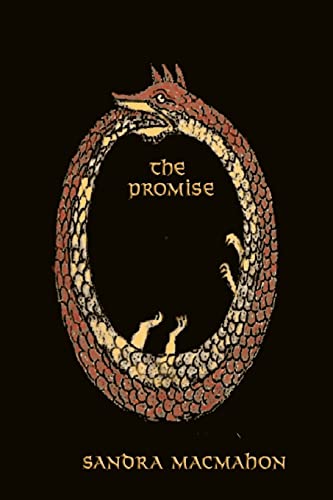 Imagen de archivo de The Promise a la venta por THE SAINT BOOKSTORE