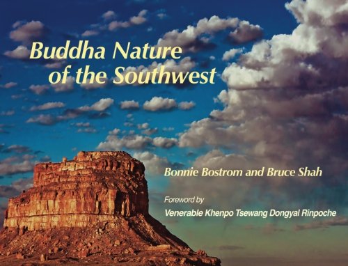 Stock image for Buddha Nature of the Southwest for sale by Hippo Books