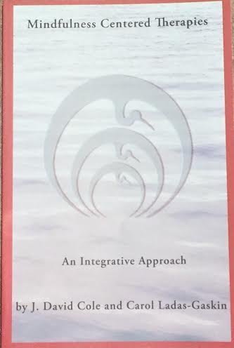 Stock image for Mindfulness Centered Therapies: An Integrative Approach for sale by BookHolders