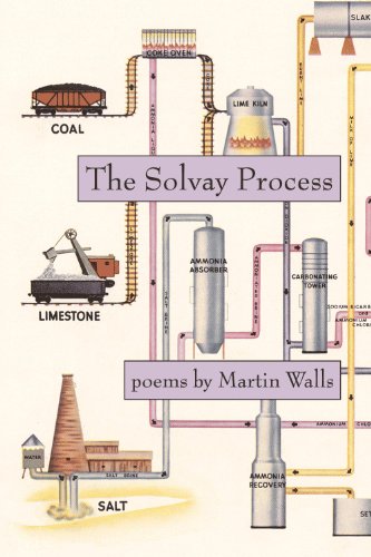 Imagen de archivo de The Solvay Process a la venta por The Second Reader Bookshop