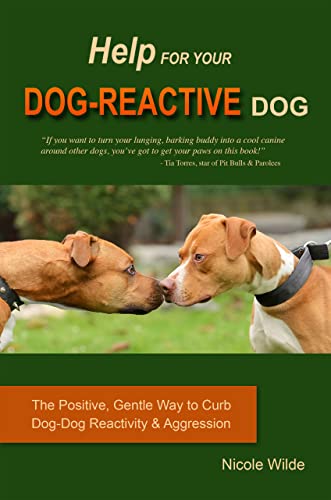 Stock image for Help for Your Dog-Reactive Dog for sale by GF Books, Inc.