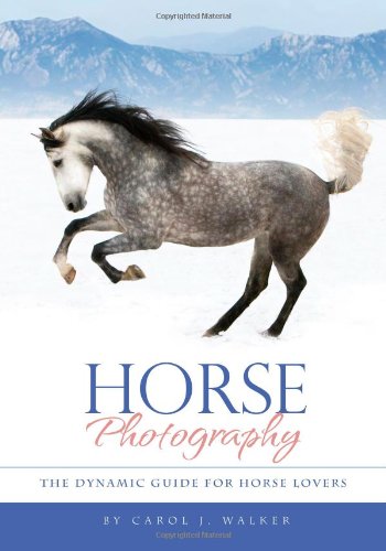 Stock image for Horse Photography: The Dynamic Guide for Horse Lovers for sale by HPB-Diamond