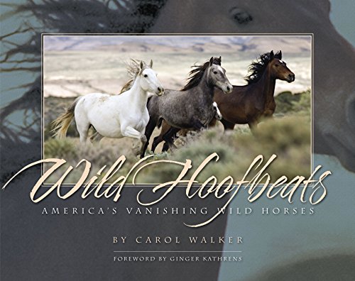 Stock image for Wild Hoofbeats: America's Vanishing Wild Horses for sale by ThriftBooks-Dallas