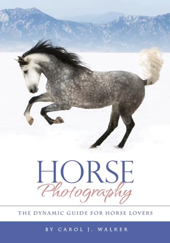 Stock image for Horse Photography: The Dynamic Guide for Horse Lovers for sale by ThriftBooks-Dallas