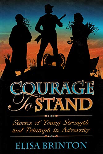 9780981817804: Courage to Stand: Stories of Young Strength and Triumph in Adversity