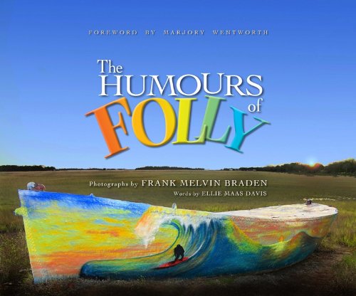 Imagen de archivo de The Humours of Folly a la venta por SecondSale