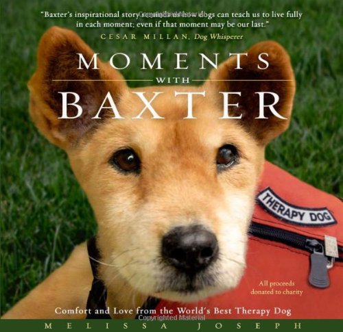 Stock image for Moments with Baxter : Comfort and Love from the World's Best Therapy Dog for sale by Better World Books