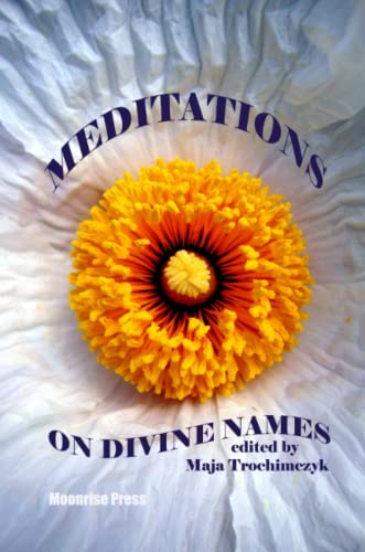 9780981969381: Meditations on Divine Names