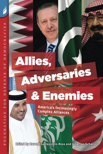 Imagen de archivo de Allies, Adversaries and Enemies: America's Increasingly Complex Alliances a la venta por Wonder Book