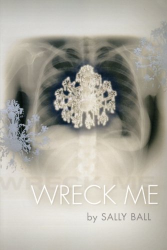 Stock image for Wreck Me for sale by SecondSale