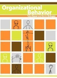 9780982043066: Organizational Behavior (B&W) Edition: reprint