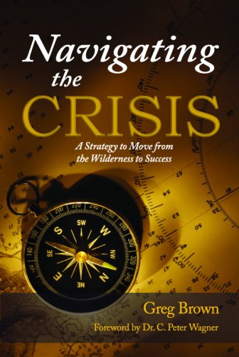 Stock image for Navigating the Crisis: A Strategy to Move from the Wilderness to Success for sale by Bookmans