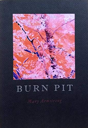 Stock image for Burn Pit for sale by Alplaus Books