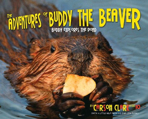 Beispielbild fr The Adventures of Buddy the Beaver: Buddy Explores the Pond zum Verkauf von ThriftBooks-Atlanta