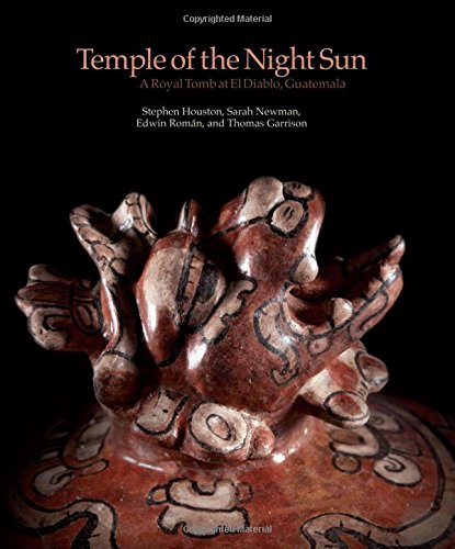 9780982133392: Temple of the Night Sun: A Royal Maya Tomb at El D