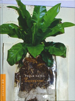 Paula Hayes: Understory (Opener 20) (9780982148648) by Ian; Paula Hayes Berry
