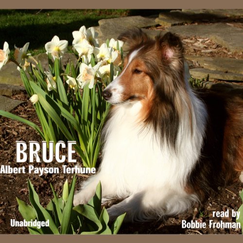 Bruce (9780982185377) by Albert Payson Terhune