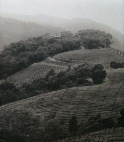 Imagen de archivo de Observations From the Hillside a la venta por Books Unplugged